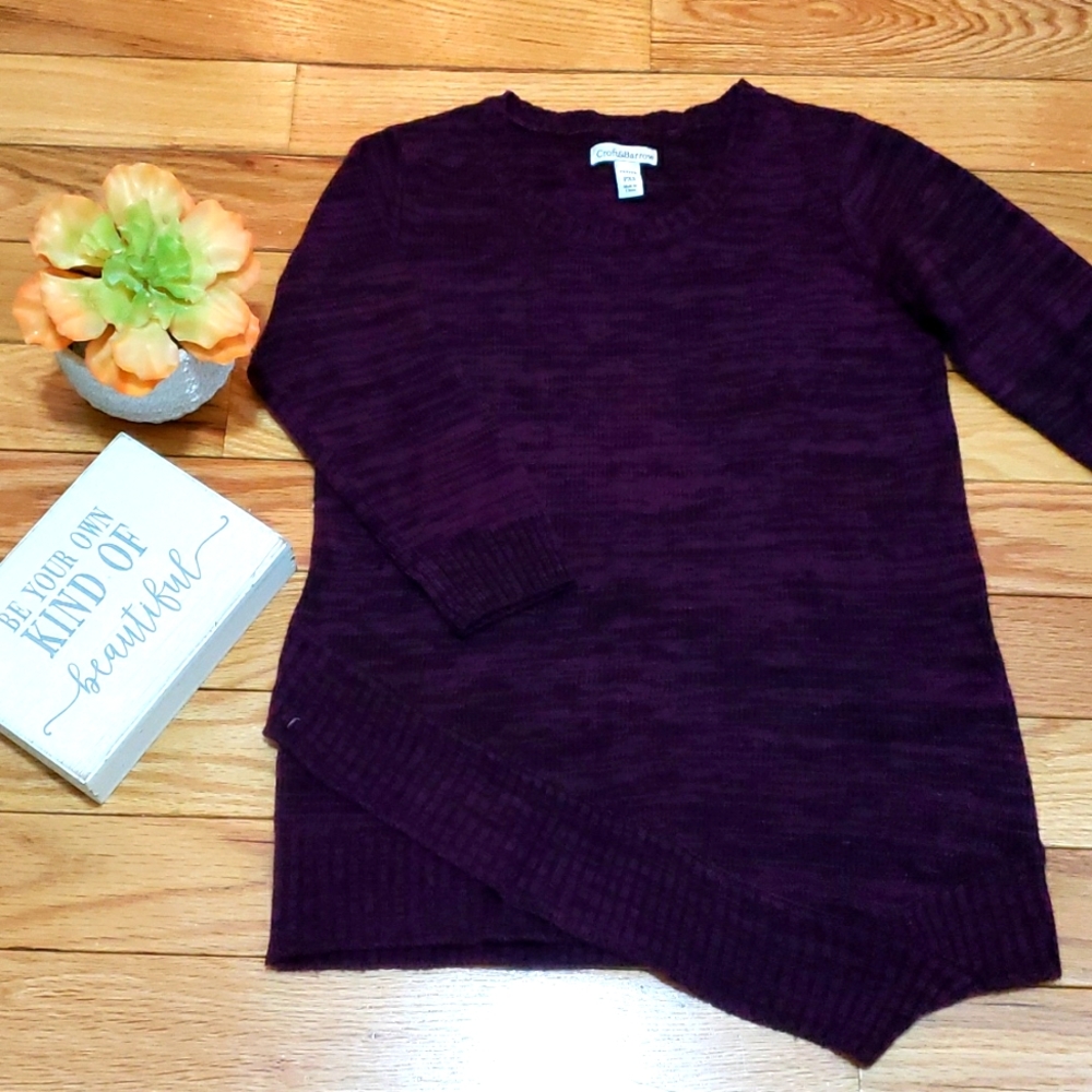 Croft & Barrow Sweater